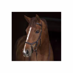 Bridon Rambo Micklem (avec ou sans mors)*Horseware Clearance