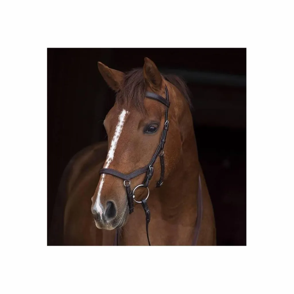Bridon Rambo Micklem (avec ou sans mors)*Horseware Clearance