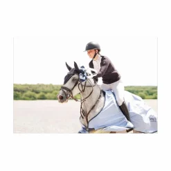 In Horse We Trust Bridons - Filets>Bridon frontal disco vague parfait état