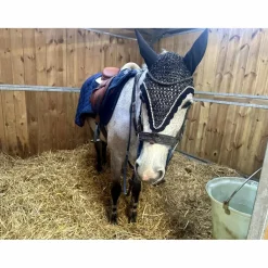 In Horse We Trust Bridons - Filets><noscript><img width=