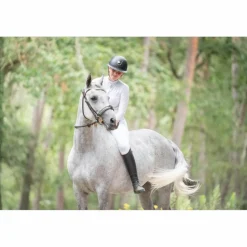 In Horse We Trust Bridons - Filets><noscript><img width=