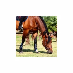 Jump'In Bridons - Filets><noscript><img width=