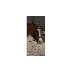 Jump'In Bridons - Filets><noscript><img width=