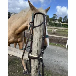 Bridon micklem cob*Horseware Discount