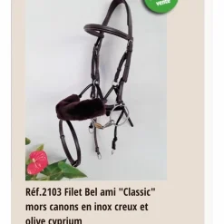 Dy'on Bridons - Filets>Bridon+ mors Alain Ventre Bel Ami