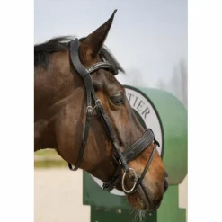 Bridon muserole française Sellier*Forestier Discount