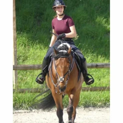 Privilege Equitation Brides>Bridon muserolle croisé