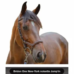 Bridon One New-York noisette*Jump'In New
