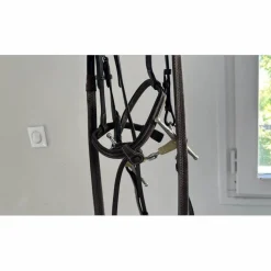 Eric Thomas Bridons - Filets><noscript><img width=