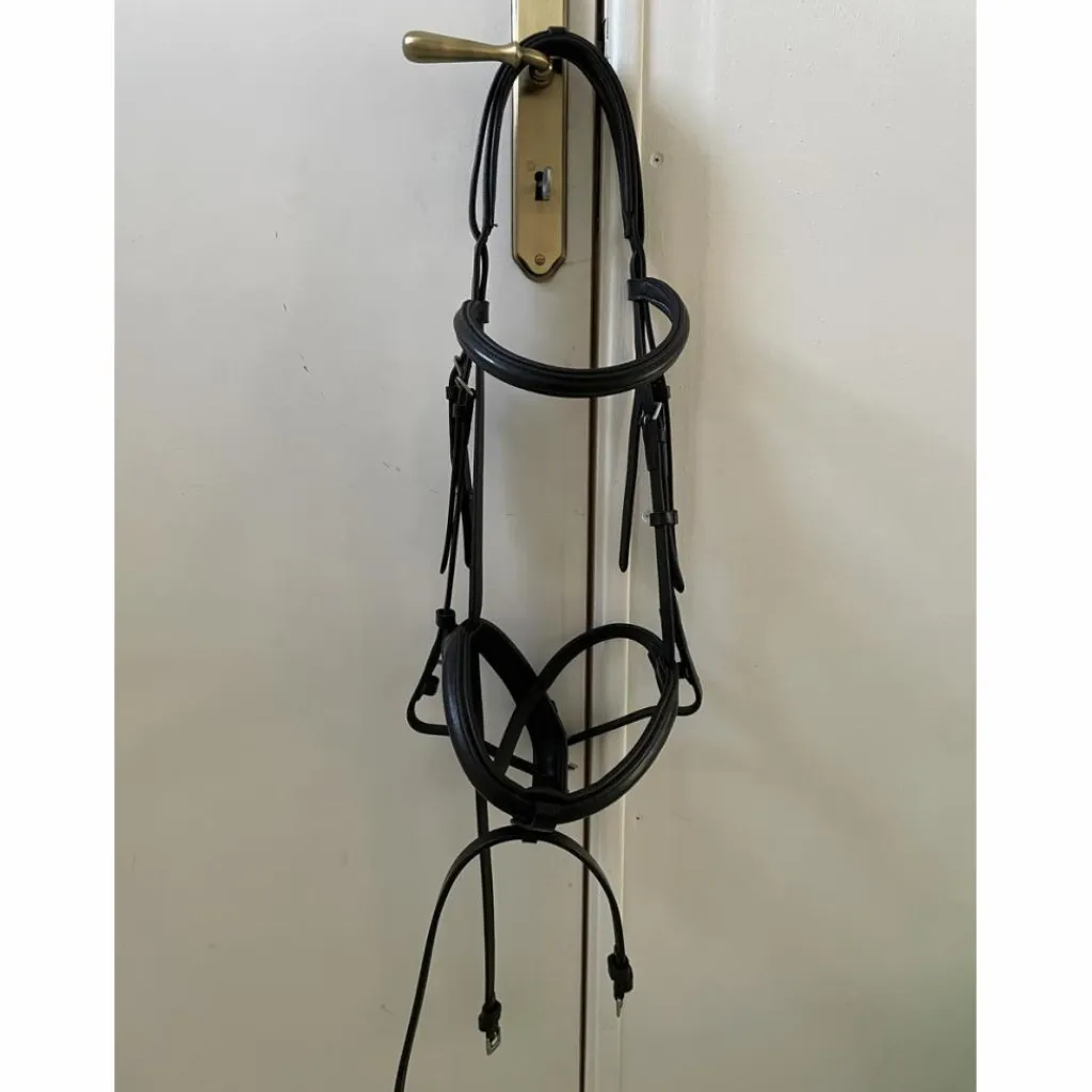Bridon Noir*Schockemohle Online