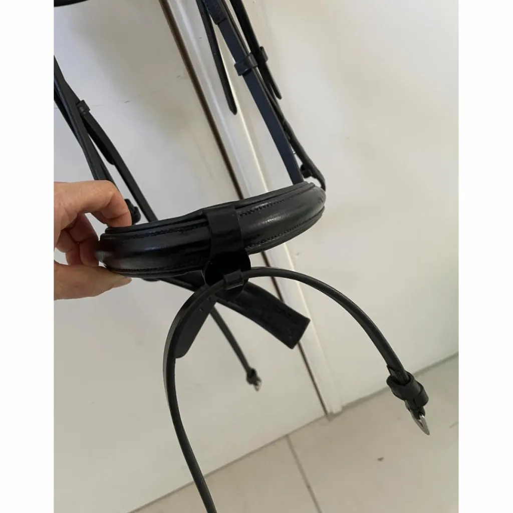 Bridon Noir*Schockemohle Online