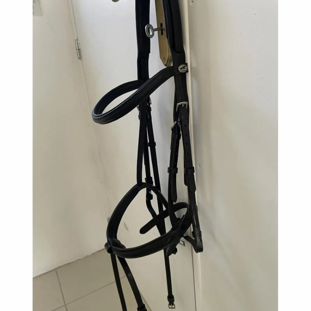 Bridon Noir*Schockemohle Online