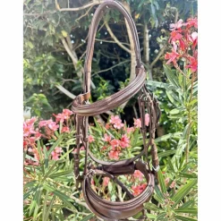 - Marque inconnue - Bridons - Filets>Bridon Stationata pull-back cuir souple (COB)