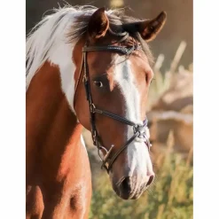 Bridon muserolle croisé*Time Rider Outlet