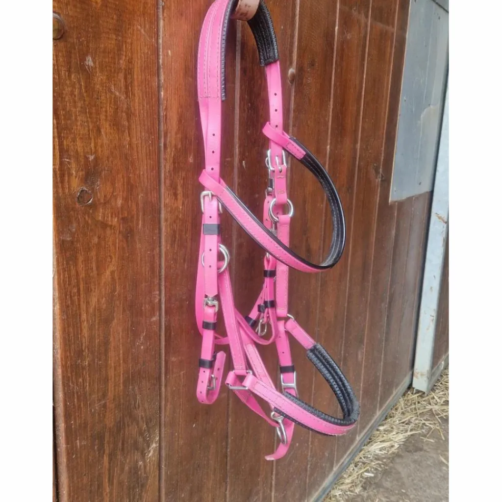 Bridon rose*Zilco New