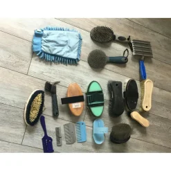 Fouganza Brosses><noscript><img width=