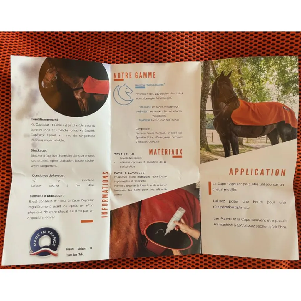 Akhal Soin Du Cheval>Cape