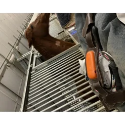 Capteur Motion + Sangle pour Cheval*Equisense