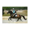 - Marque inconnue - Accessoires|Accessoires>Casaque Choco/ciel