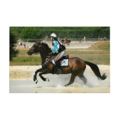 - Marque inconnue - Accessoires|Accessoires>Casaque Choco/ciel
