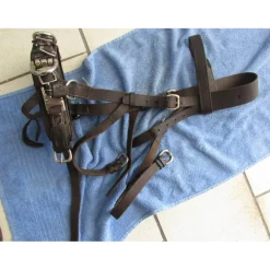 - Marque inconnue - Surfaix Et Caveçons>Caveçon cuir