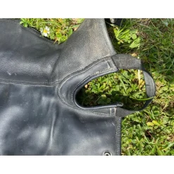Chaps><noscript><img width=
