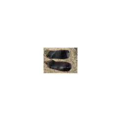 chaps noires*Fouganza New