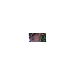 Fouganza Colliers De Chasse><noscript><img width=