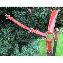 Collier de chase + Martingale*- Marque inconnue - New