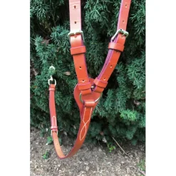 Collier de chase + Martingale*- Marque inconnue - New