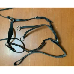 collier de chasse*Fouganza Discount