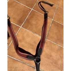 Time Rider Colliers De Chasse>Collier de chasse