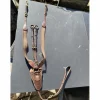 Collier de Chasse*After Riding