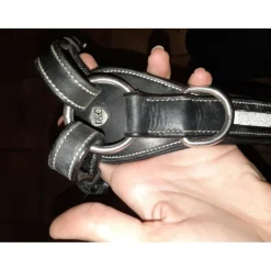 Flags and Cup Colliers De Chasse><noscript><img width=