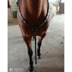 FFE Colliers De Chasse>Collier de chasse