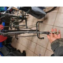 Protanner Colliers De Chasse><noscript><img width=