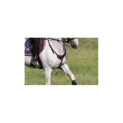 Collier de chasse*CSO Outlet