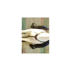 Collier de chasse*CSO Outlet