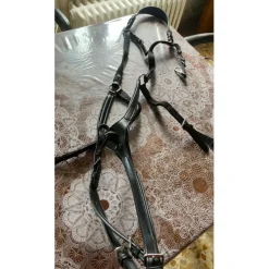 Collier de chasse*Protanner Clearance