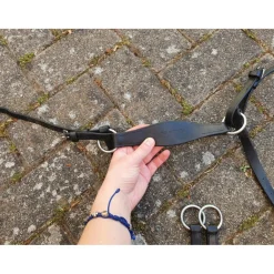 Fouganza Colliers De Chasse><noscript><img width=