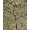 Collier de chasse*- Marque inconnue - New