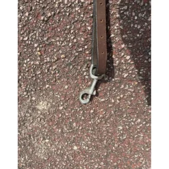 - Marque inconnue - Colliers De Chasse>Collier de chasse