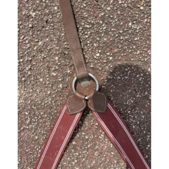 - Marque inconnue - Colliers De Chasse>Collier de chasse