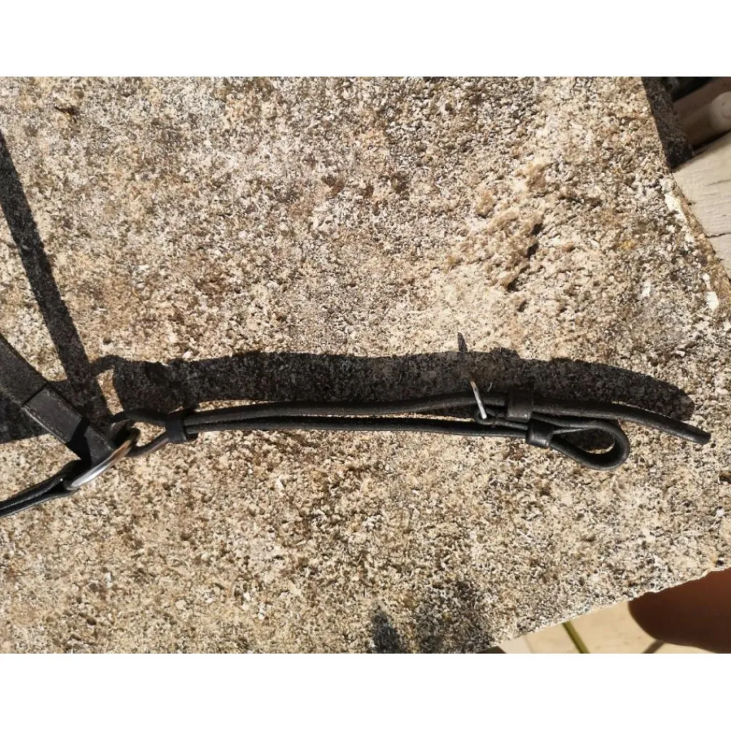 collier de chasse* Best
