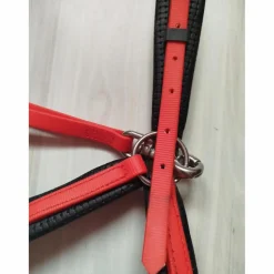 Collier de chasse*- Marque inconnue - Outlet
