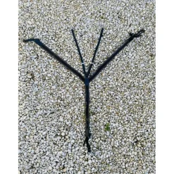 Collier de chasse*HFI New