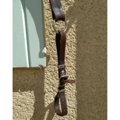 - Marque inconnue - Colliers De Chasse><noscript><img width=
