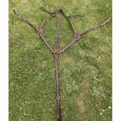 Time Rider Colliers De Chasse>Collier de chasse