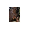 Protanner Colliers De Chasse>collier de chasse