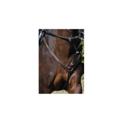 Protanner Colliers De Chasse>collier de chasse